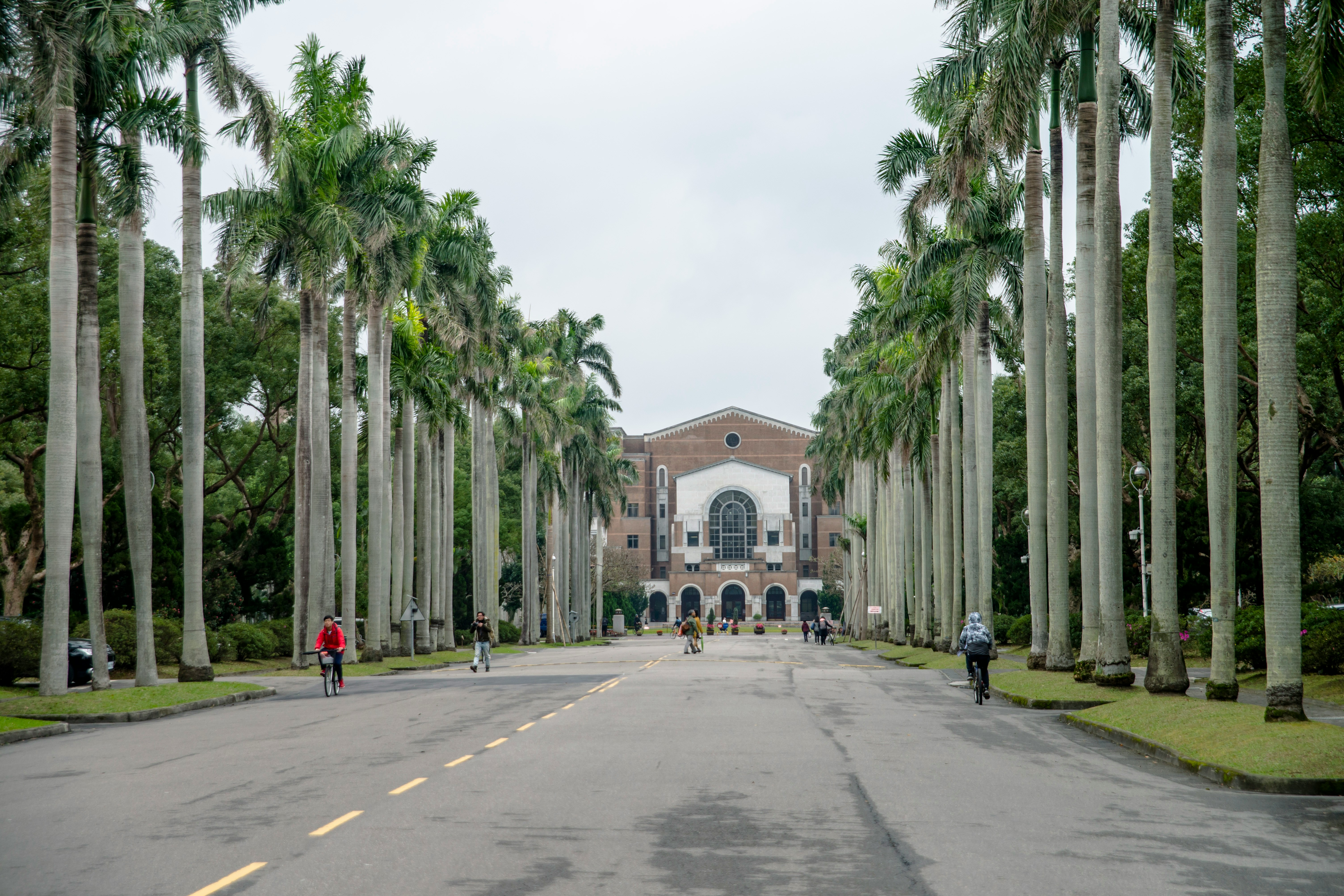 Tertiary Institutions Partnership